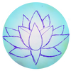 The Waterlily Project